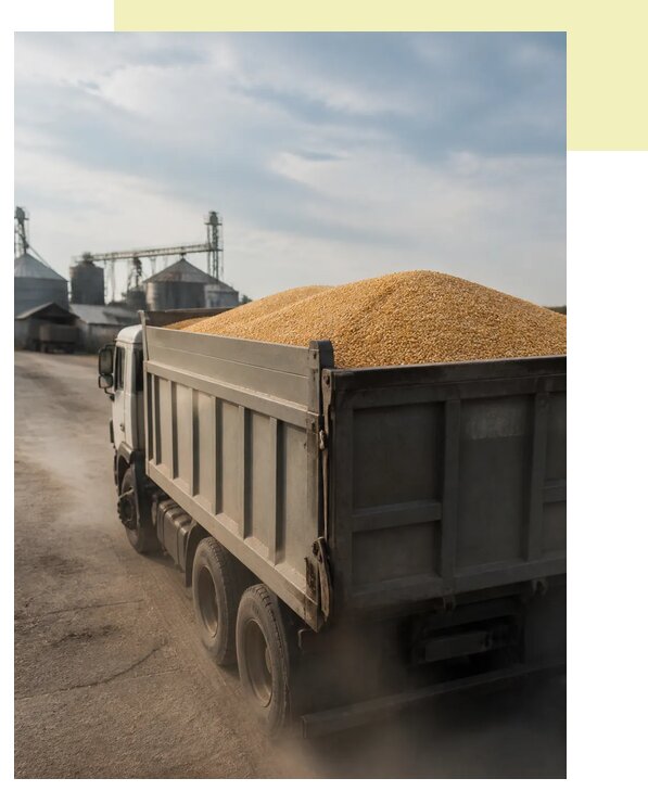 Перевозка сельхозпродукции навалом в Краснокаменск по цене от 3066 р. | Агросервис-Ксн