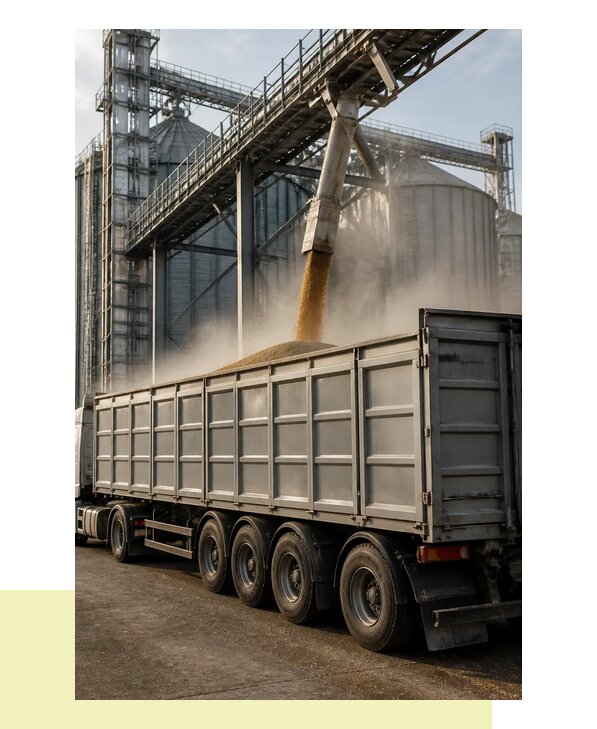 Перевозка зерна с элеватора в Краснокаменск автомобильным транспортом